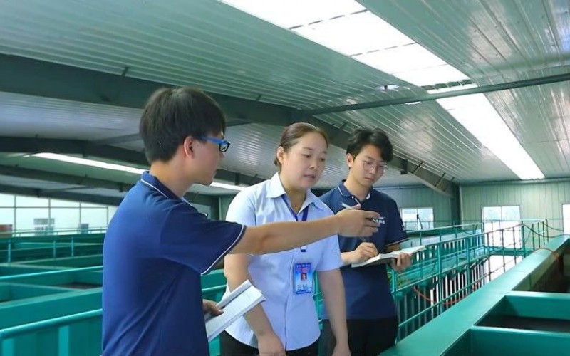 環(huán)境、給排水設計工程師
